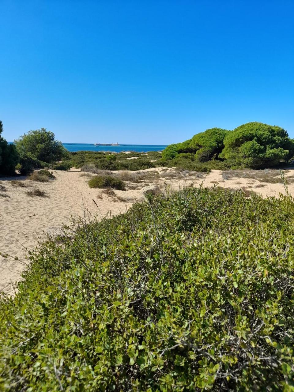 Apartamento Playa La Barrosa Chiclana de la Frontera Kültér fotó