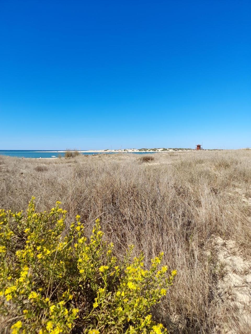 Apartamento Playa La Barrosa Chiclana de la Frontera Kültér fotó
